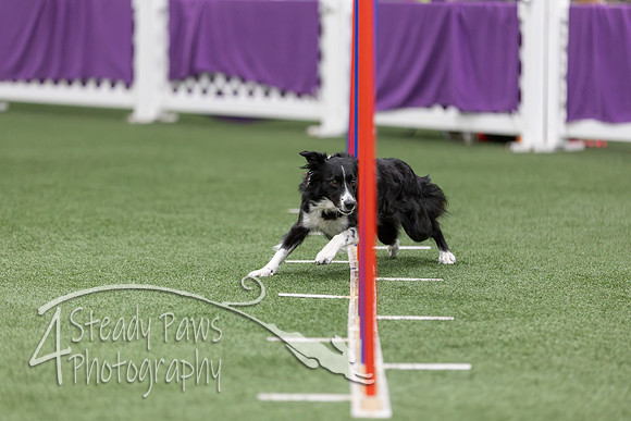 RookieICEAgility2026278