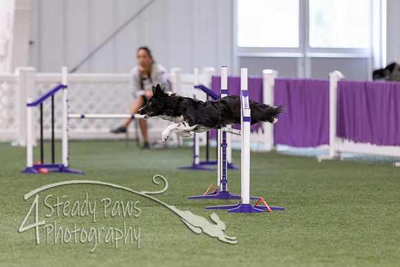 RookieICEAgility2026280