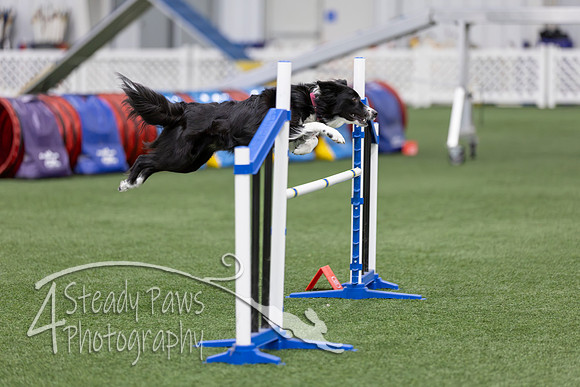 RookieICEAgility2026283
