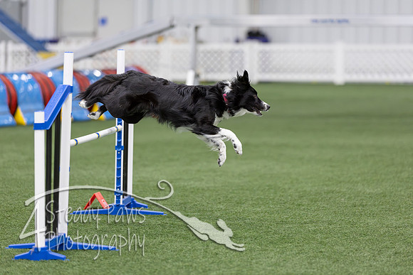 RookieICEAgility2026285