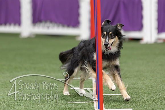 RookieICEAgility2026289