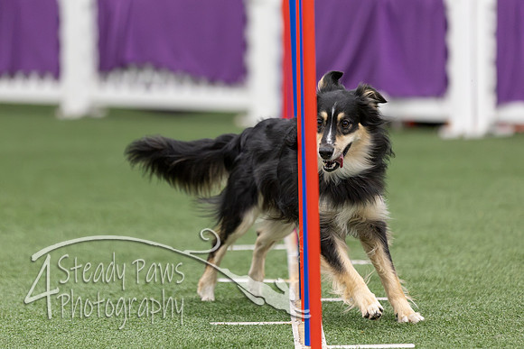 RookieICEAgility2026290