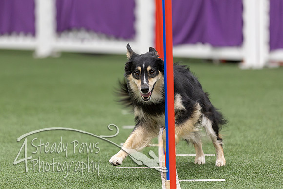RookieICEAgility2026291