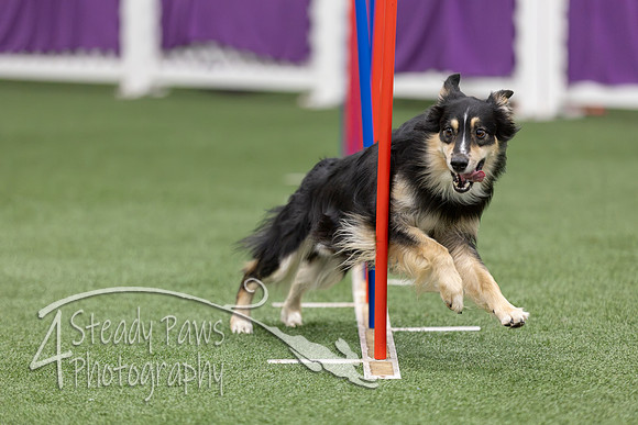 RookieICEAgility2026292