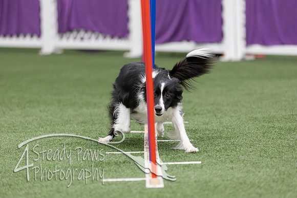 RookieICEAgility2026295