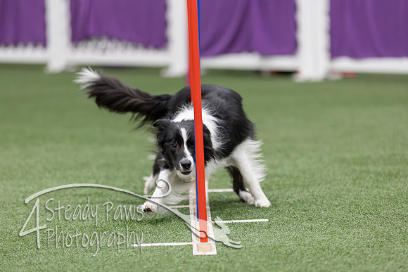 RookieICEAgility2026296