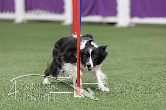 RookieICEAgility2026297