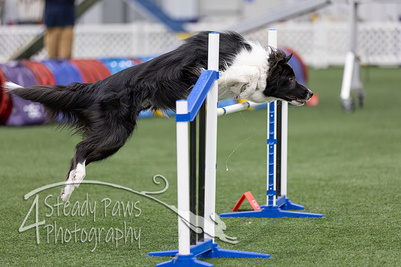 RookieICEAgility2026298
