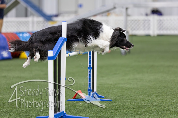 RookieICEAgility2026299
