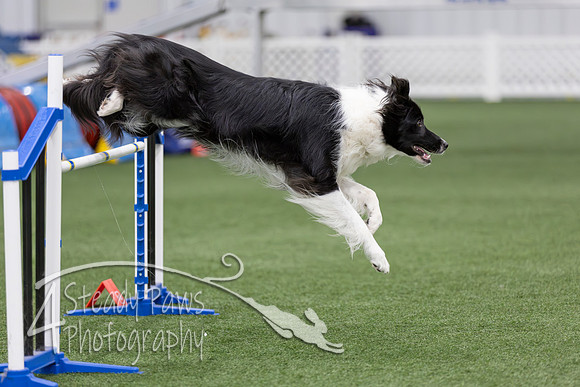 RookieICEAgility2026300