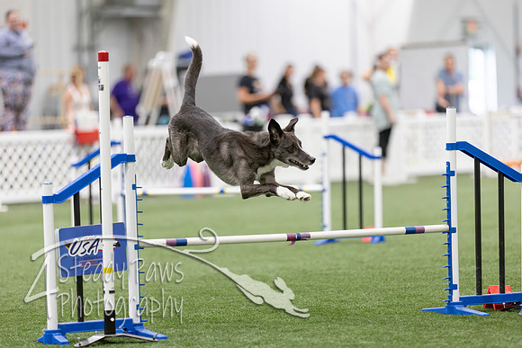 RookieICEAgility2026303