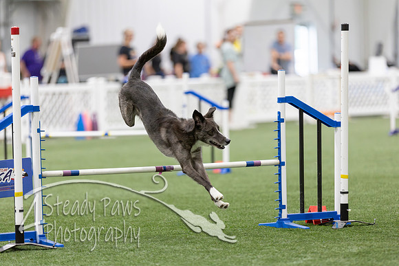 RookieICEAgility2026304