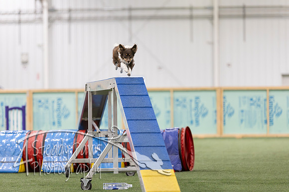 RookieICEAgility2026305