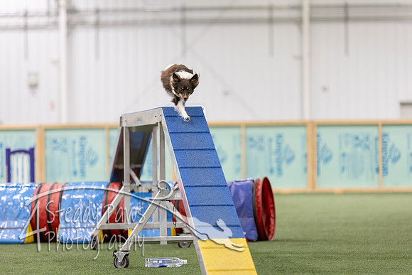 RookieICEAgility2026306