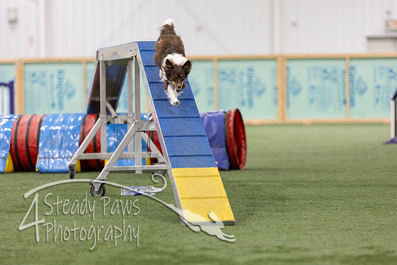 RookieICEAgility2026307
