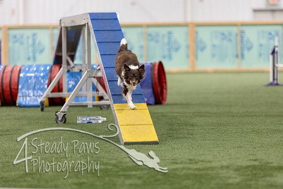 RookieICEAgility2026308