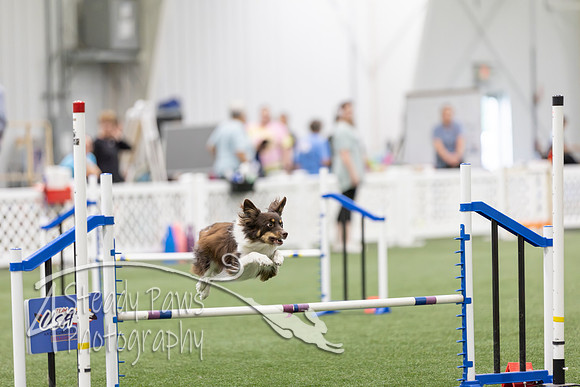 RookieICEAgility2026316