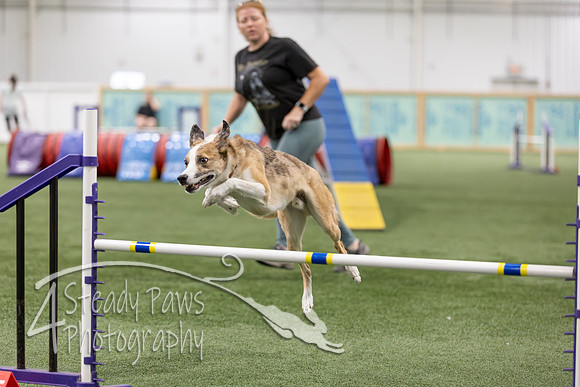 RookieICEAgility2026318