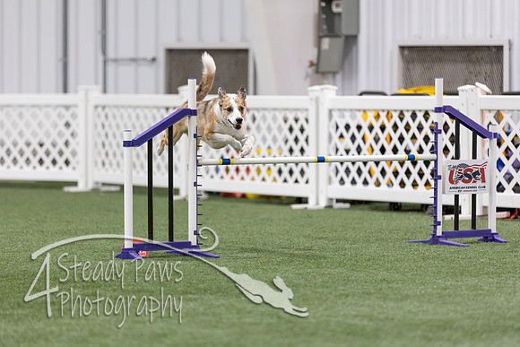RookieICEAgility2026320