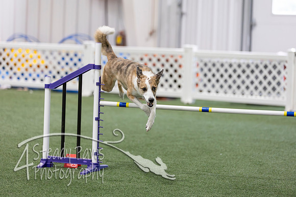 RookieICEAgility2026323