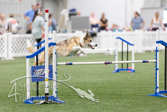 RookieICEAgility2026324