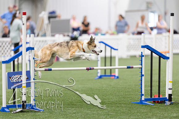 RookieICEAgility2026325