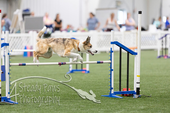 RookieICEAgility2026326