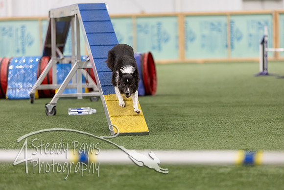RookieICEAgility2026329
