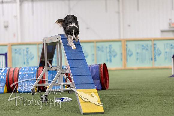 RookieICEAgility2026339