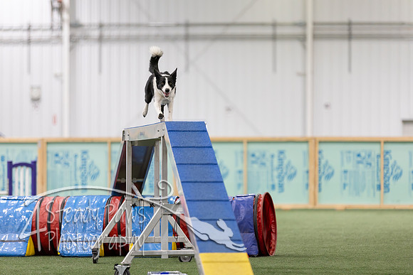 RookieICEAgility2026350