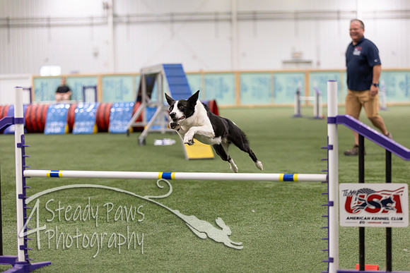 RookieICEAgility2026352