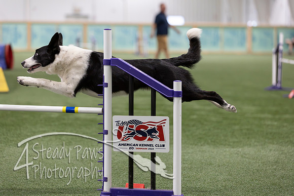 RookieICEAgility2026356