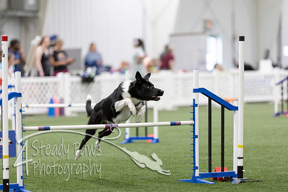 RookieICEAgility2026359