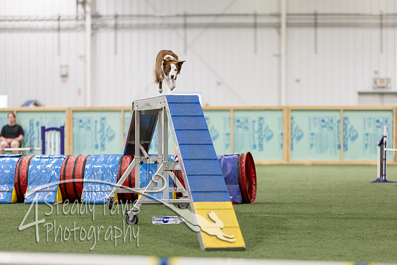 RookieICEAgility2026365