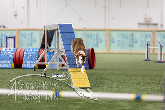 RookieICEAgility2026366