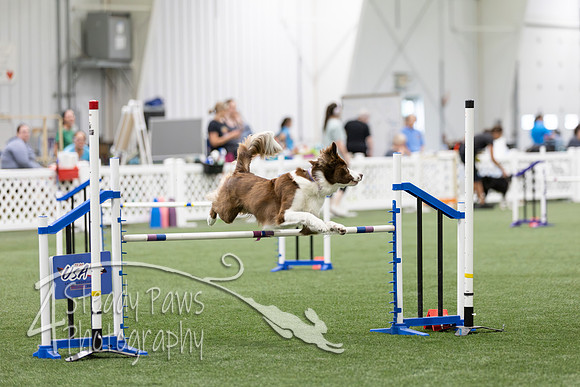 RookieICEAgility2026370