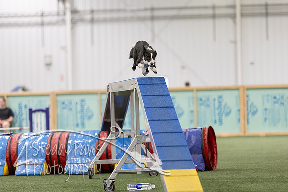 RookieICEAgility2026371