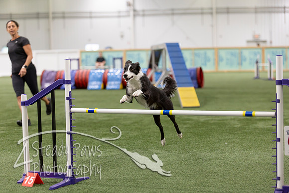 RookieICEAgility2026372