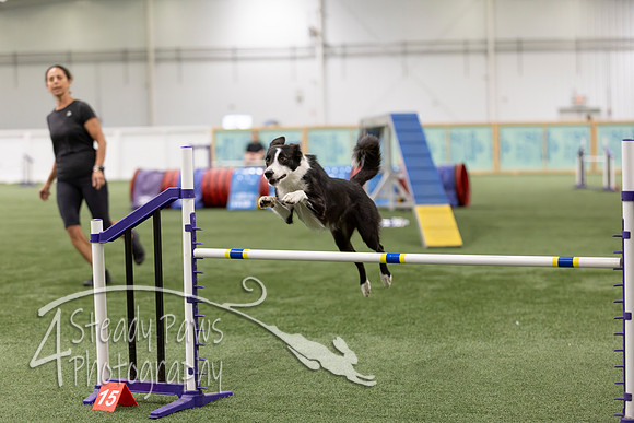 RookieICEAgility2026373