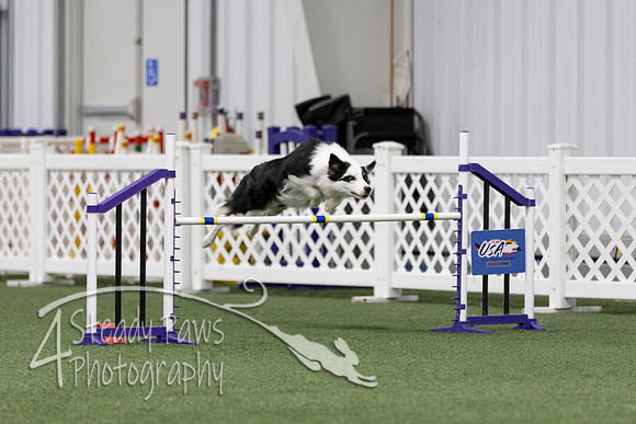 RookieICEAgility2026380