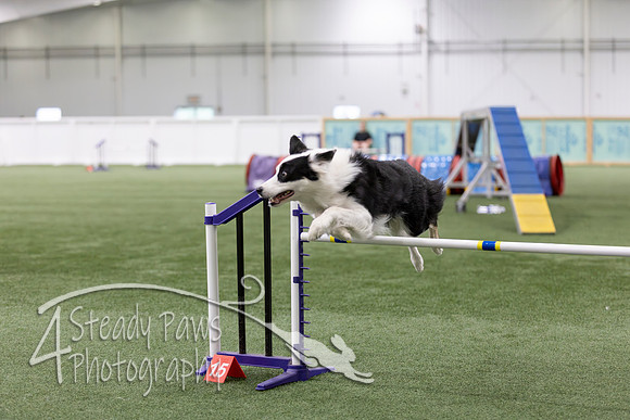 RookieICEAgility2026379