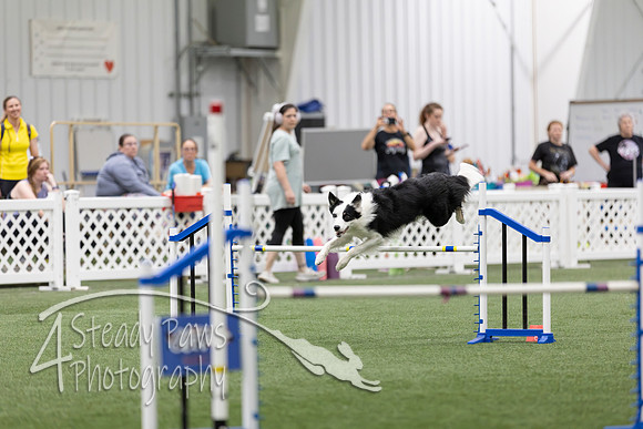 RookieICEAgility2026383