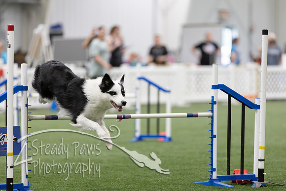 RookieICEAgility2026386