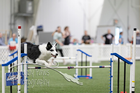 RookieICEAgility2026385