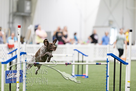 RookieICEAgility2026393