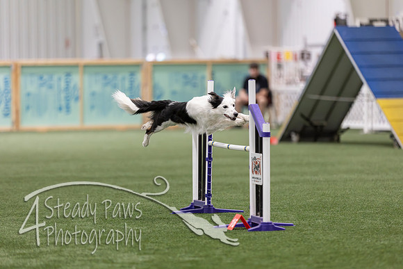 RookieICEAgility2026396