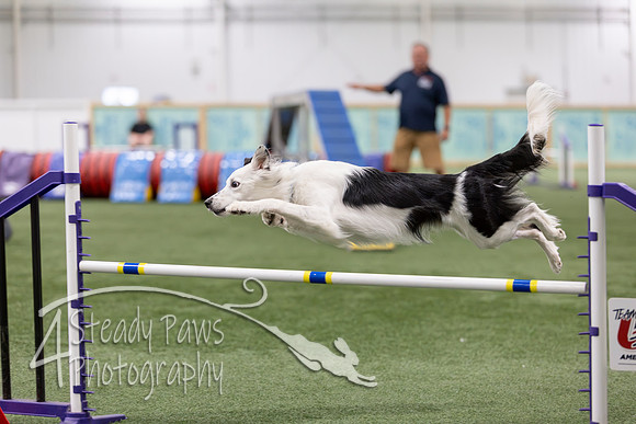 RookieICEAgility2026400