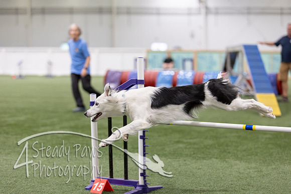 RookieICEAgility2026402