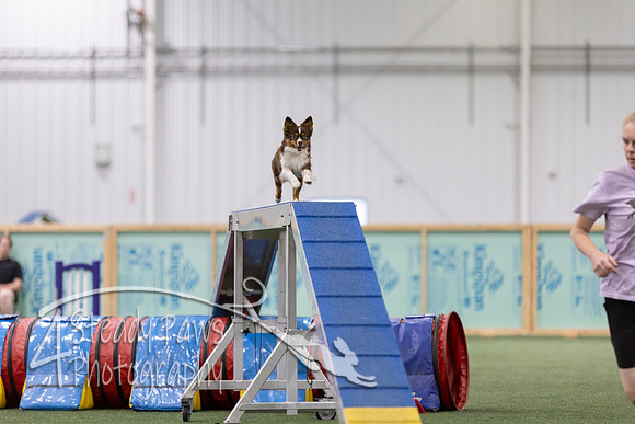 RookieICEAgility2026406