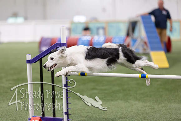 RookieICEAgility2026405